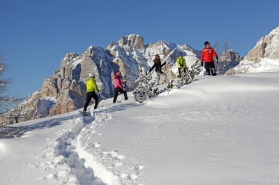 PARADISO INVERNALE